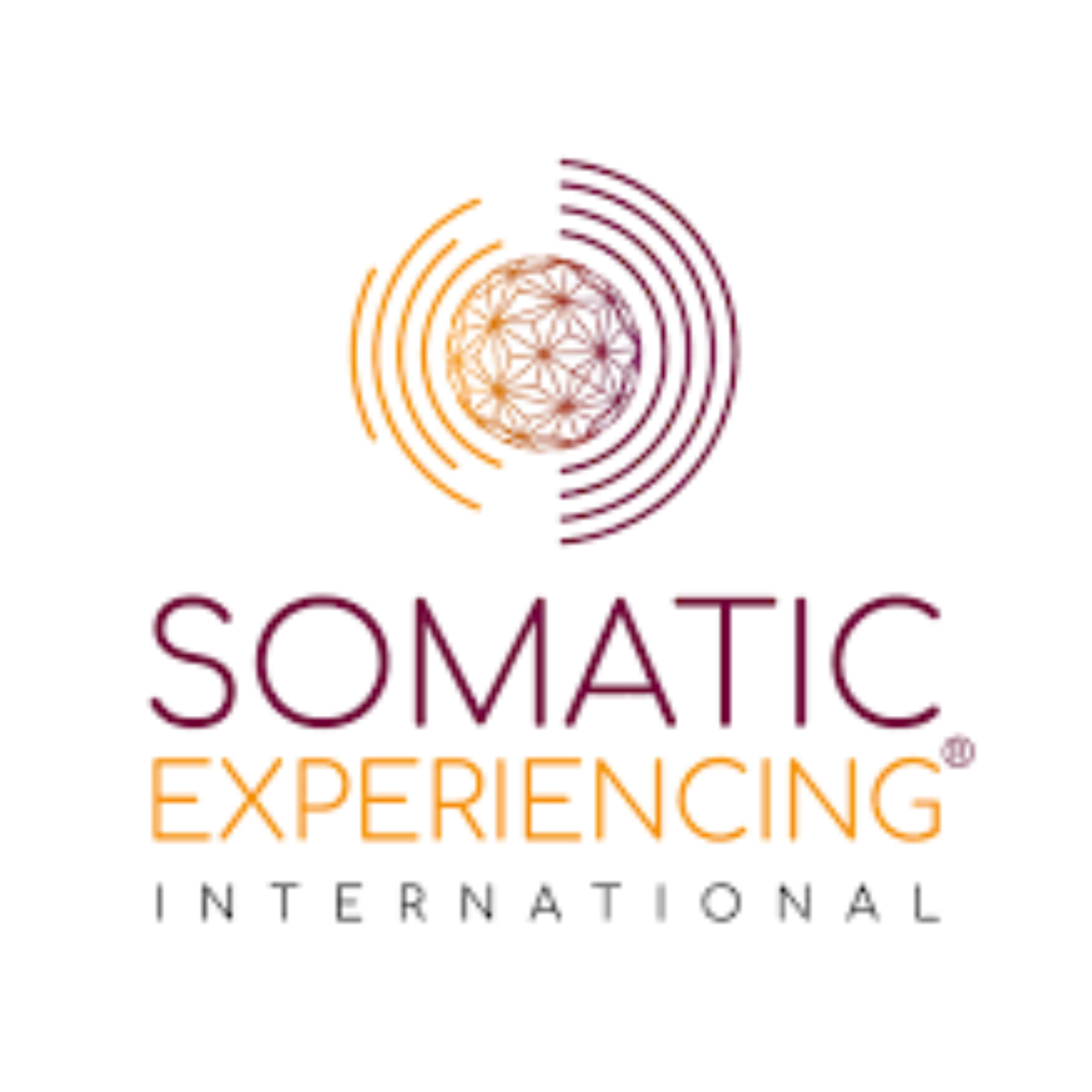 Somatic Experiencing logo