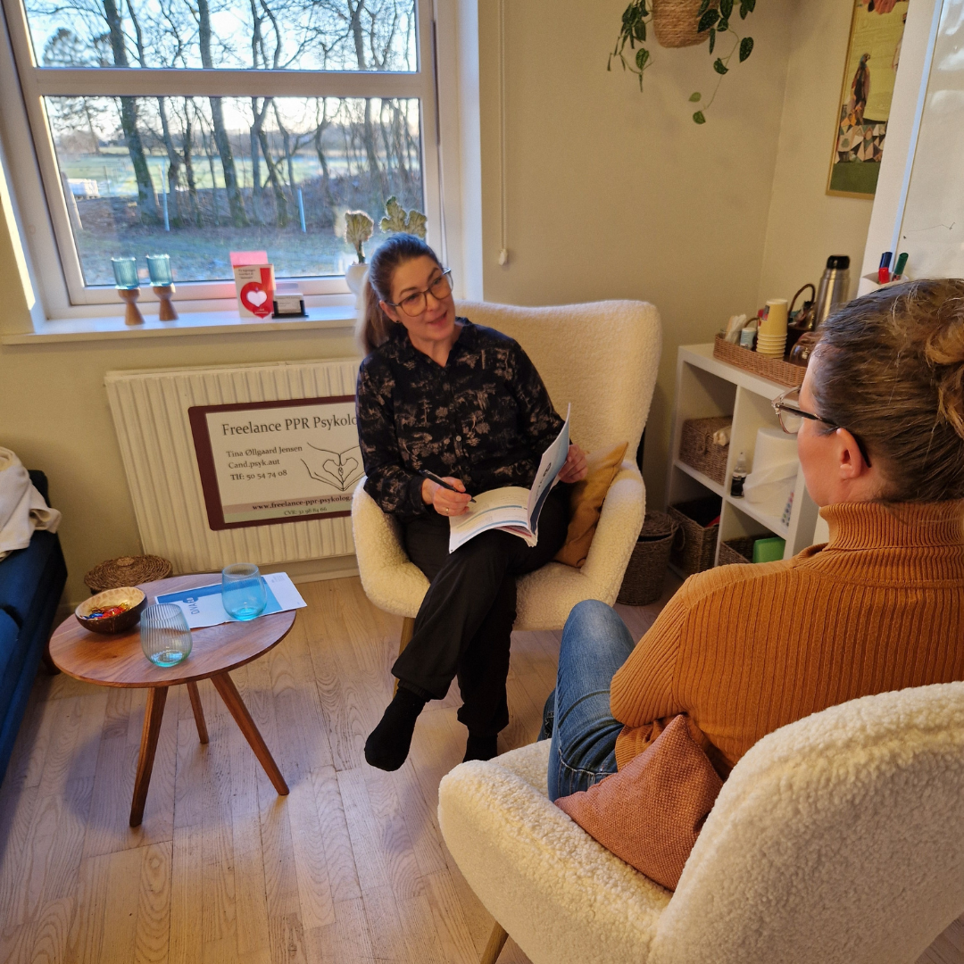 Billede af samtalerummet, hvor der står en blå sofa og to hvide lænestole. Der er udsigt ud til hestefolden.